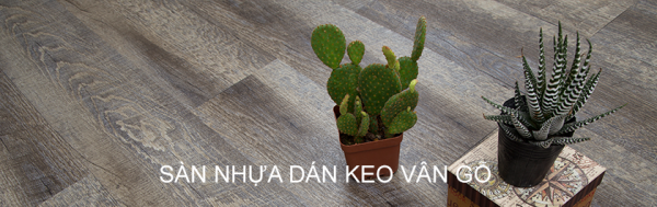 Sàn nhựa dán keo vân gỗ